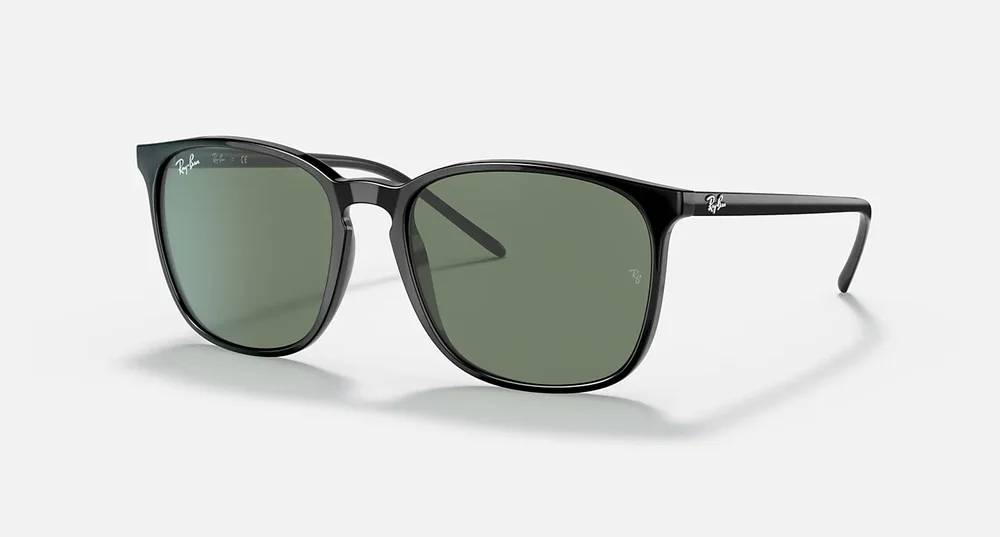 RB4387 Sunglasses