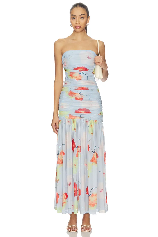 Solana Printed Mesh Maxi Dress