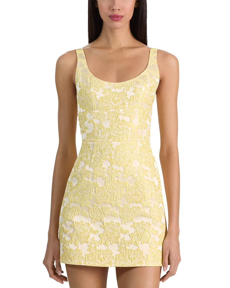Charlotte Mini Dress