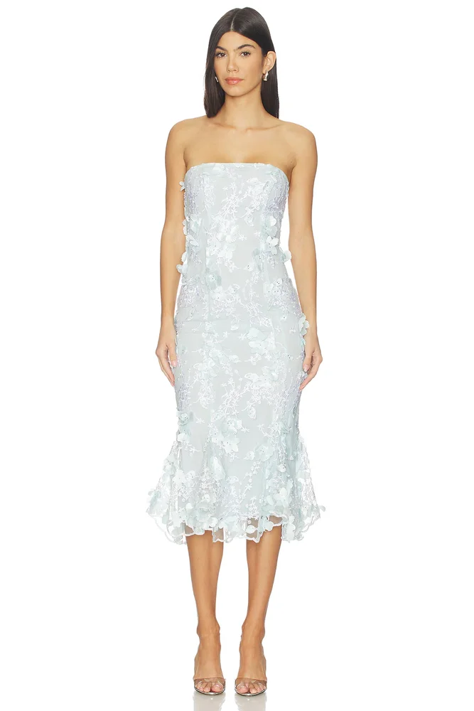 Naya Dress