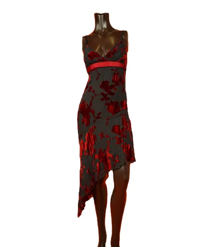 Bebe Silk Velvet Burnout Dress