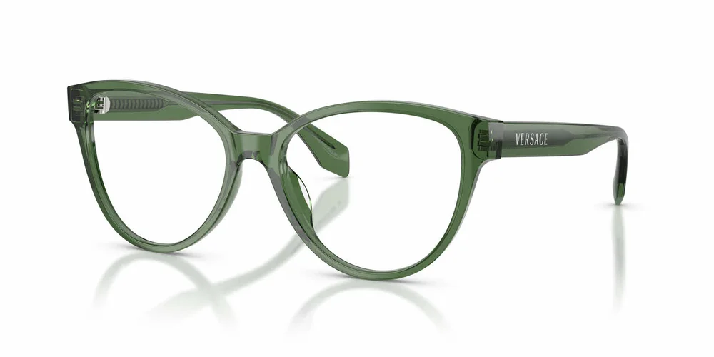 VE3399U Eyeglasses
