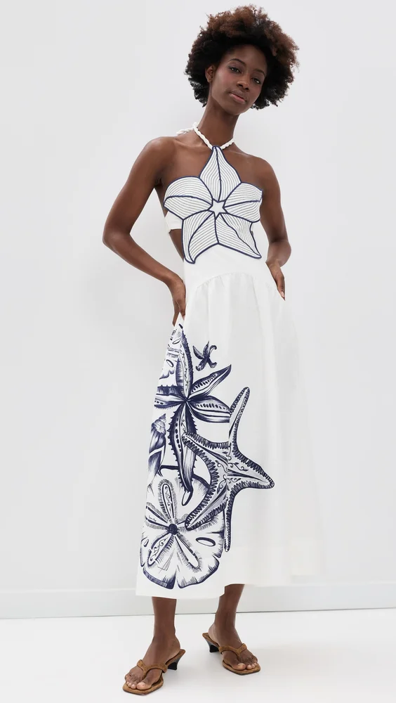 Coast Stars Maxi Dress
