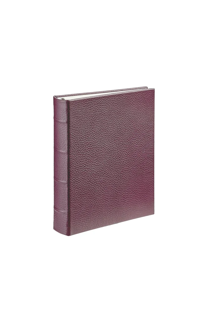 Medium 4-Ring Clear Pocket Album