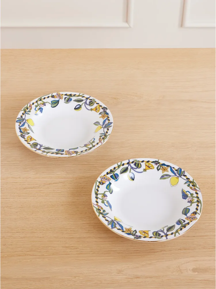 Set of two painted porcelain soup plates