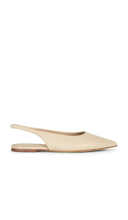 Javier Flat
