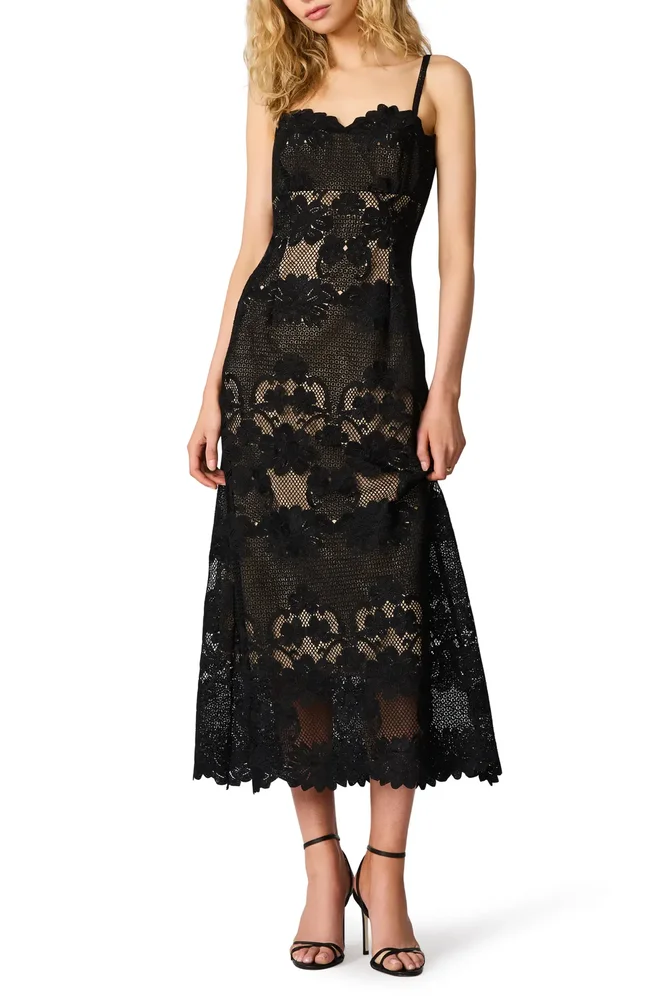 Willow Scalloped Floral Lace Midi Dress