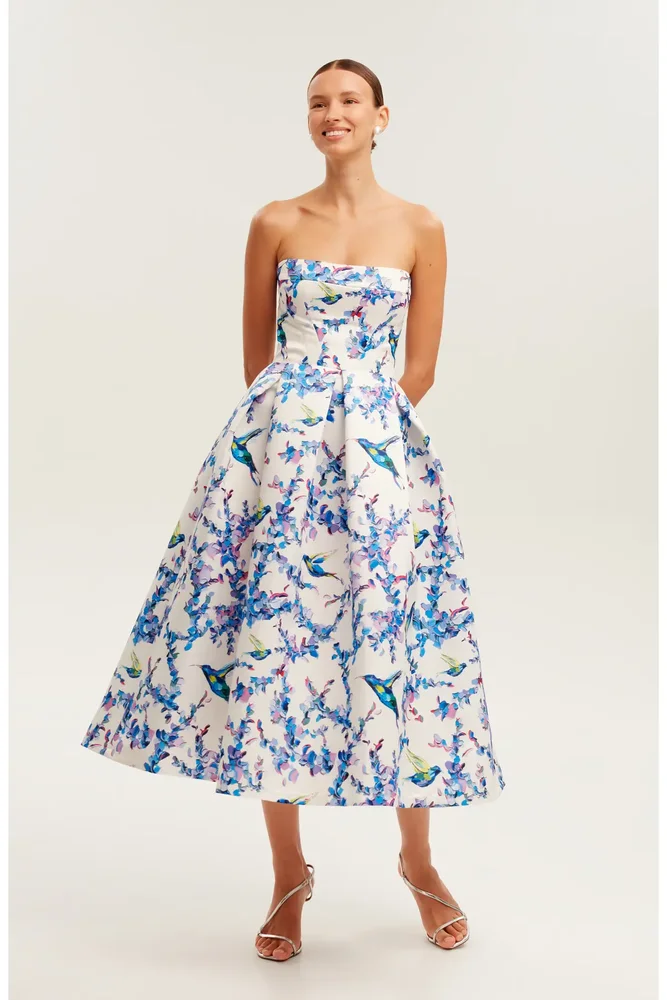 Corset Midi Formal Occasion Dress