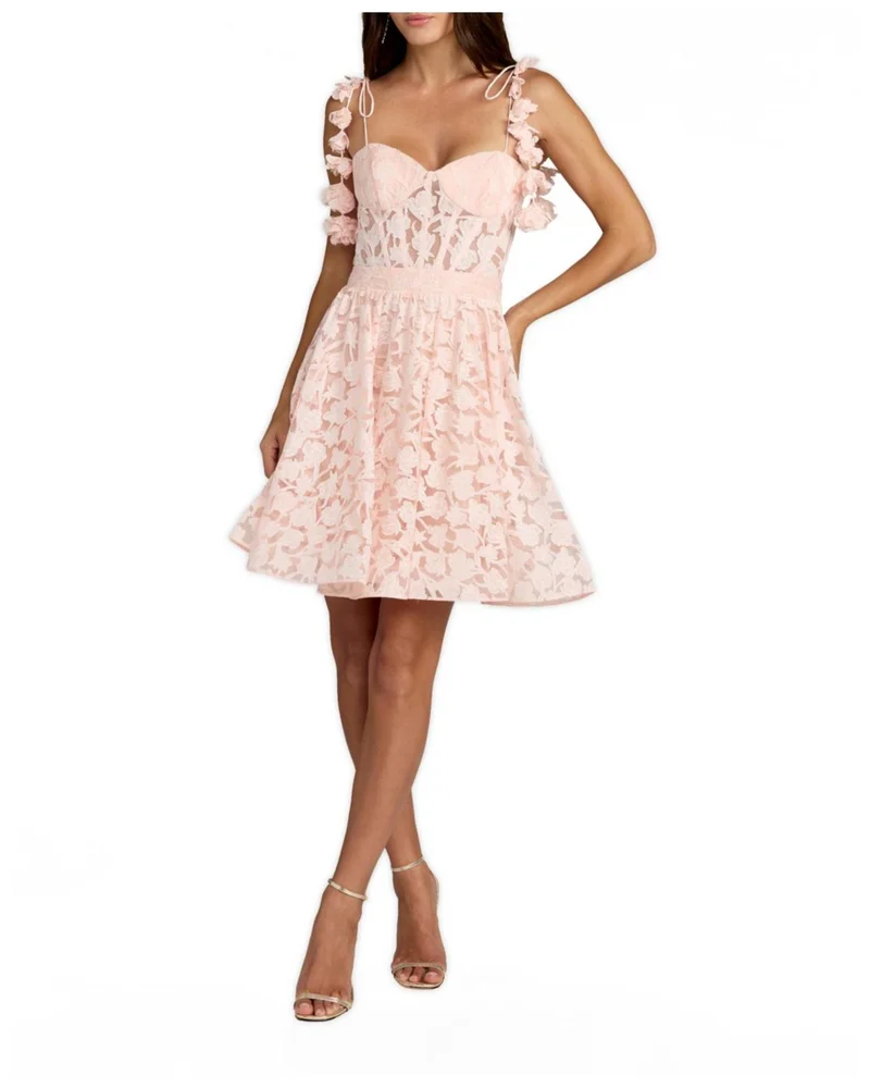 Floral Net Tie Strap Bustier Ruffle Mini Dress