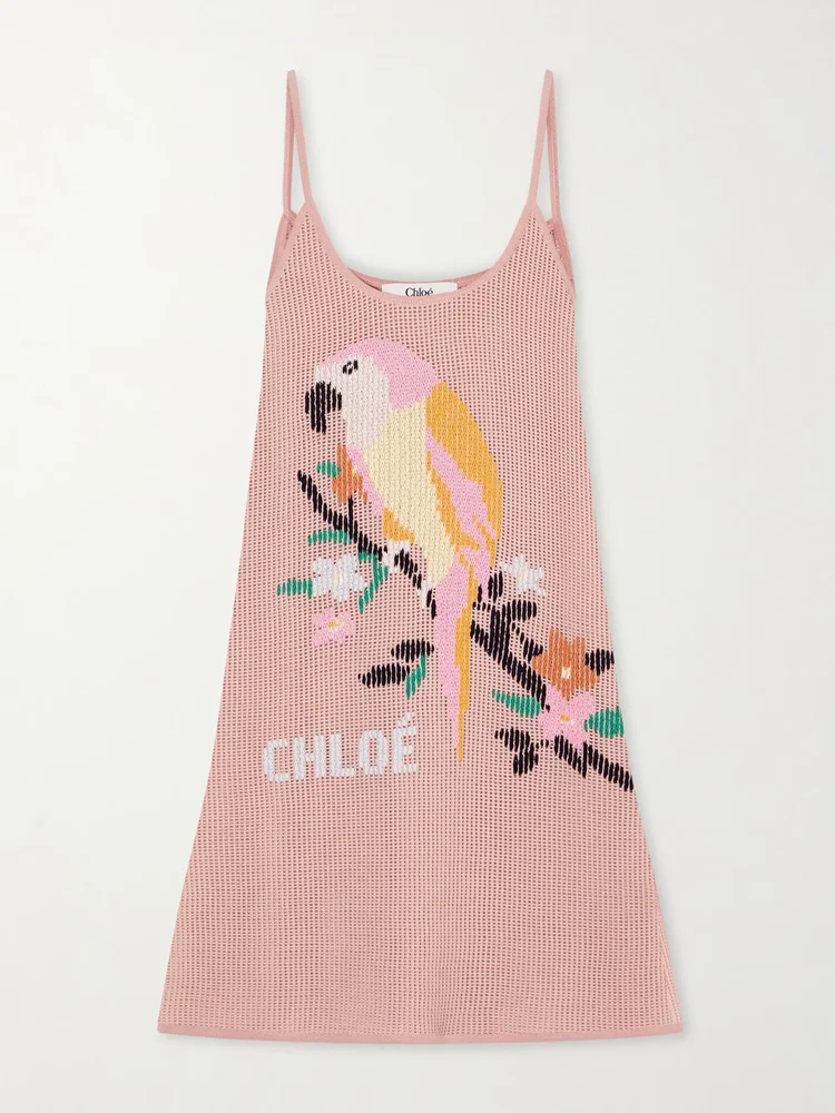 Embroidered crocheted cotton mini dress