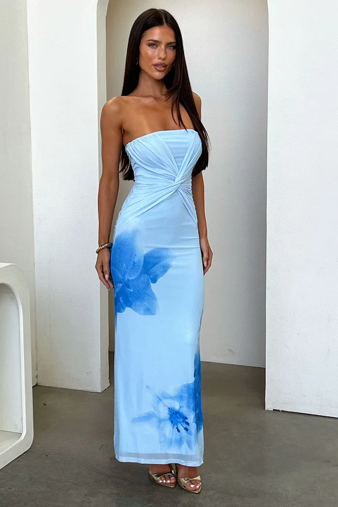 Lennen Strapless Mesh Maxi Dress, Blue