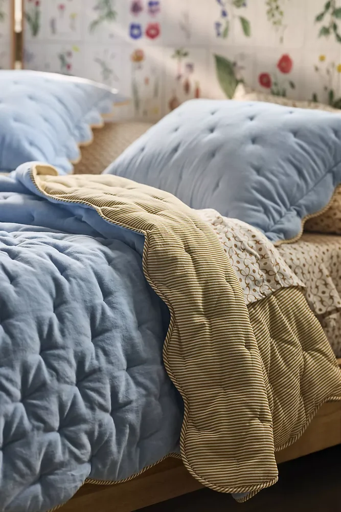 Abbott 100% Cotton Velvet Solid Scalloped Quilt