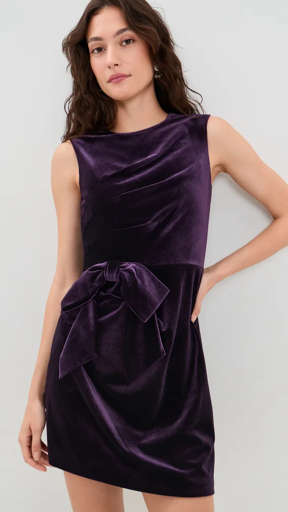 Lee Velvet Dress
