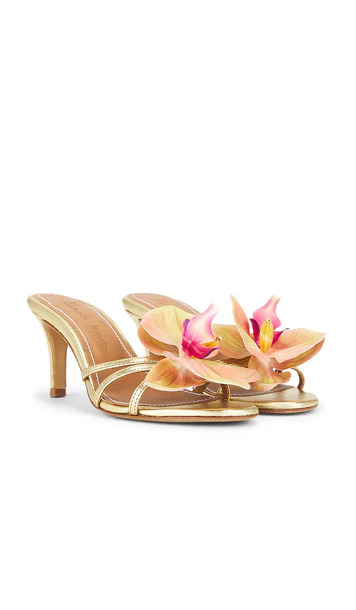 Cecily Heel