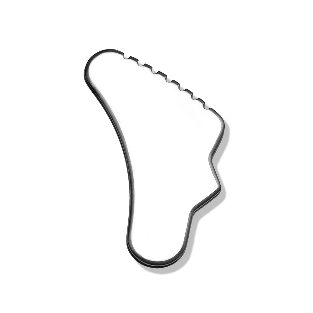 Body Gua Sha