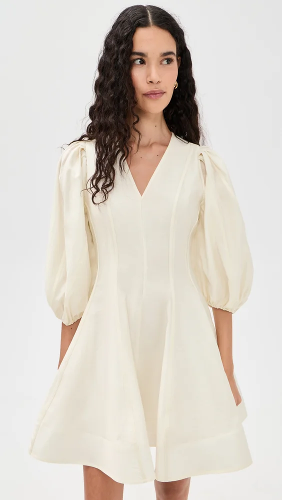 Puff Sleeve Flare Mini Dress