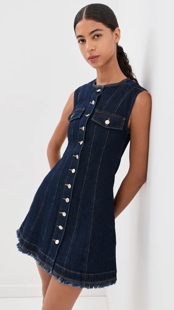 Hanley Denim Mini Dress
