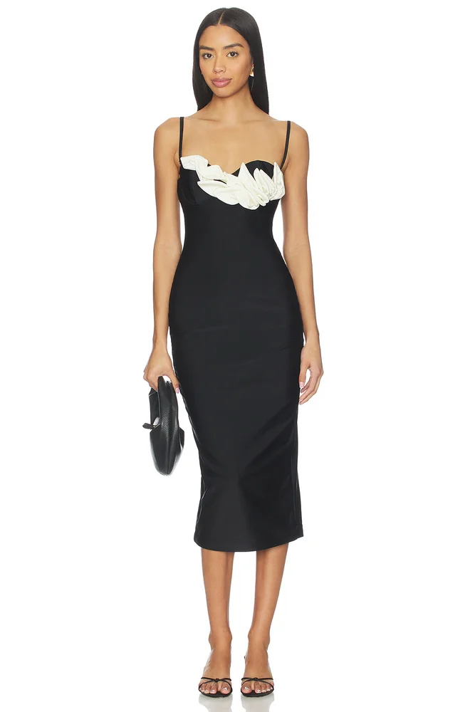 Selene Mesh Flower Applique Midi Dress