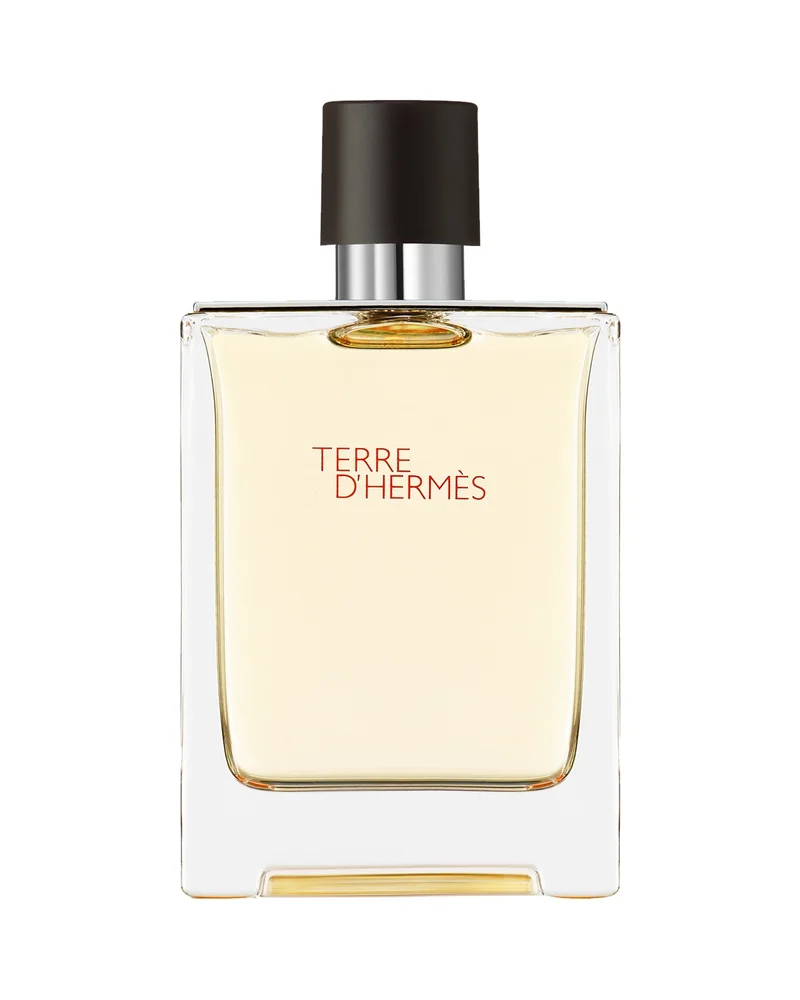 Terre d'Hermès Eau de Toilette Natural Spray