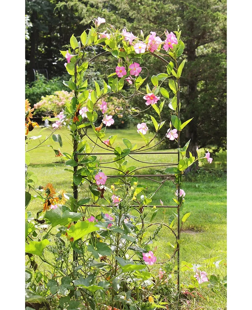 Nil Iron Arched Trellis