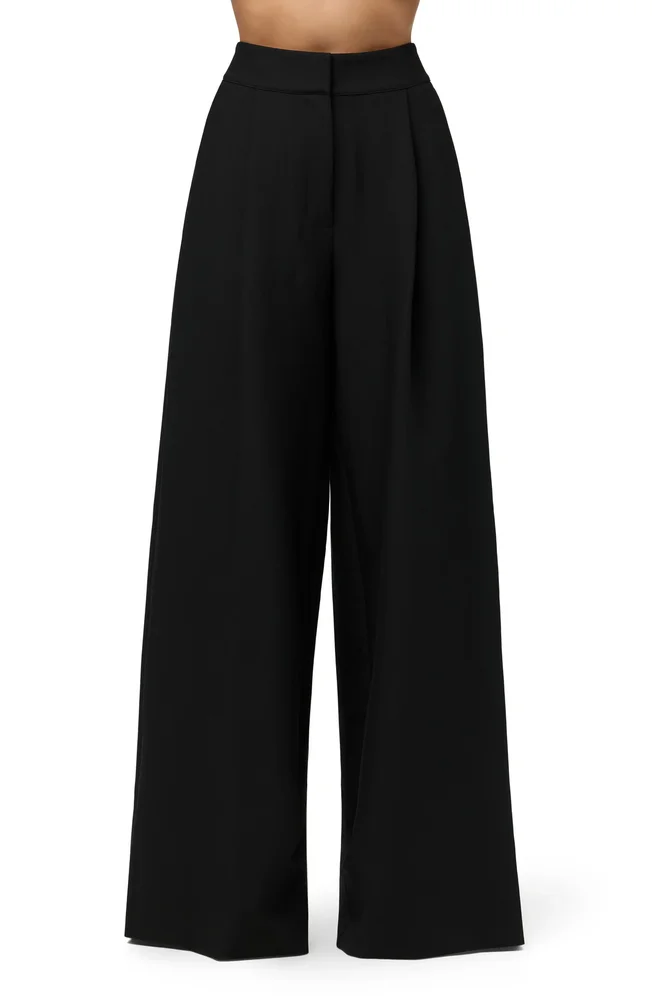 Pleated Wide Leg Pants, Black