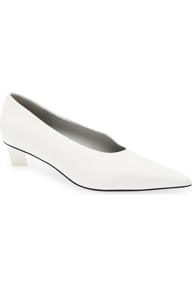 Paloma Pointed Toe Pump
