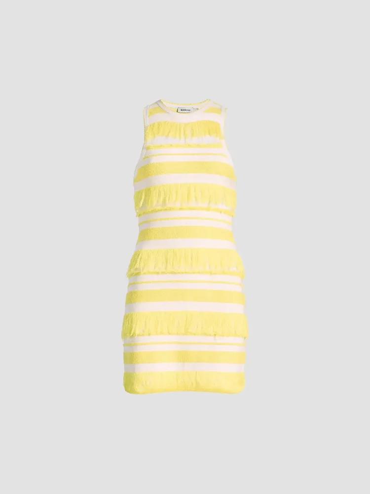 Elly striped fringe knit minidress