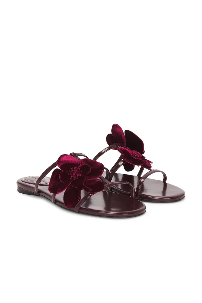 Orchid Slide