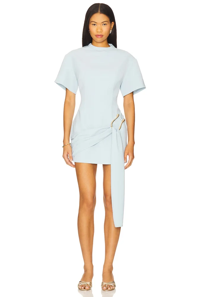 x REVOLVE Martini Mini Dress