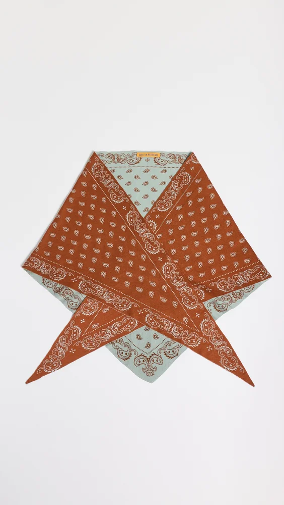 The Wild Rag Triangle Scarf