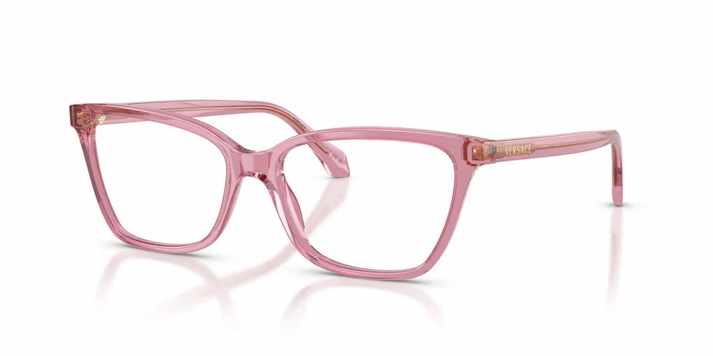 VE3398 Eyeglasses