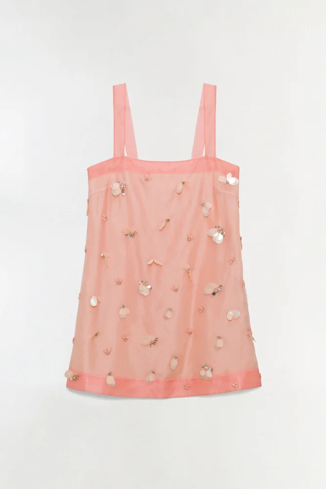 Sumi Embellished Organza Mini Dress
