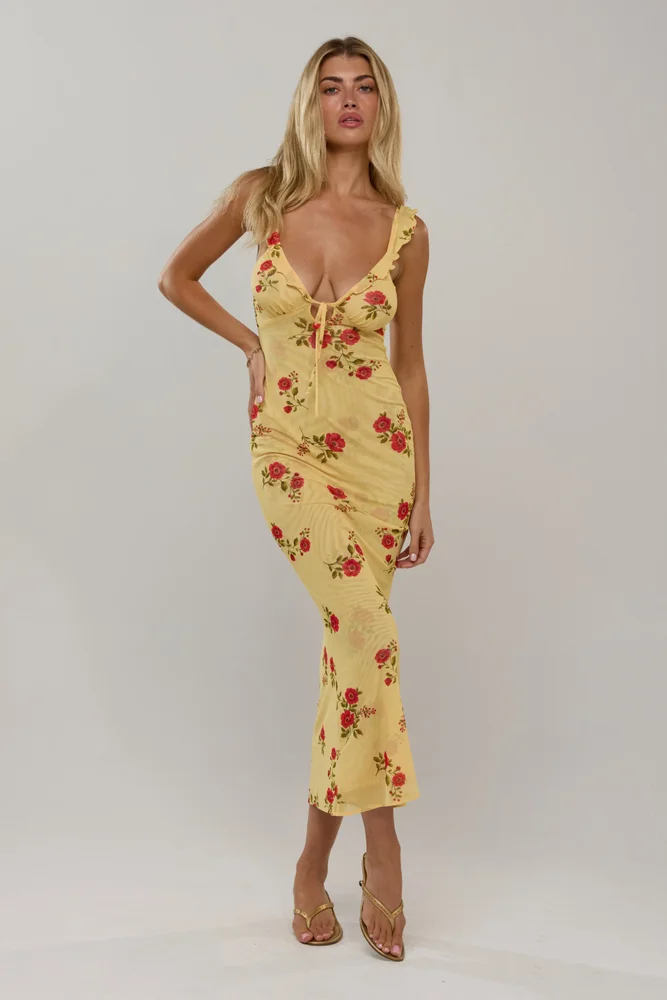 Goldie in Saffron