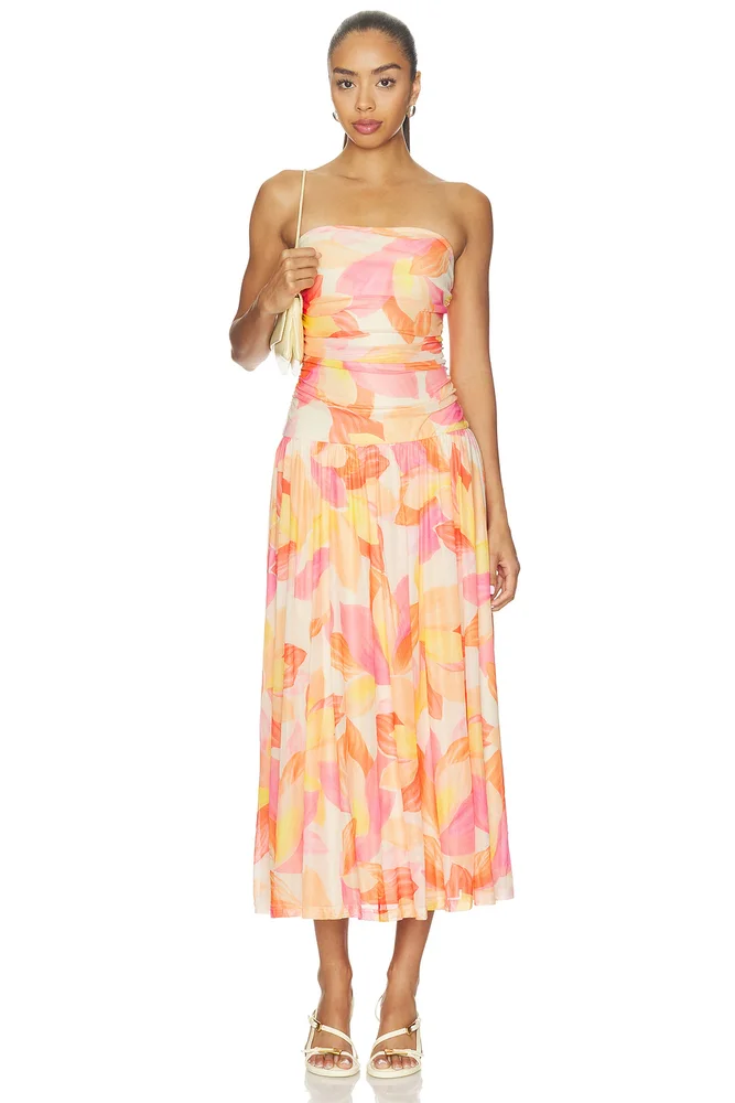 Solana Mesh Midi Dress