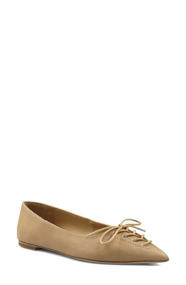 Arreza Lace-Up Pointed Toe Flat
