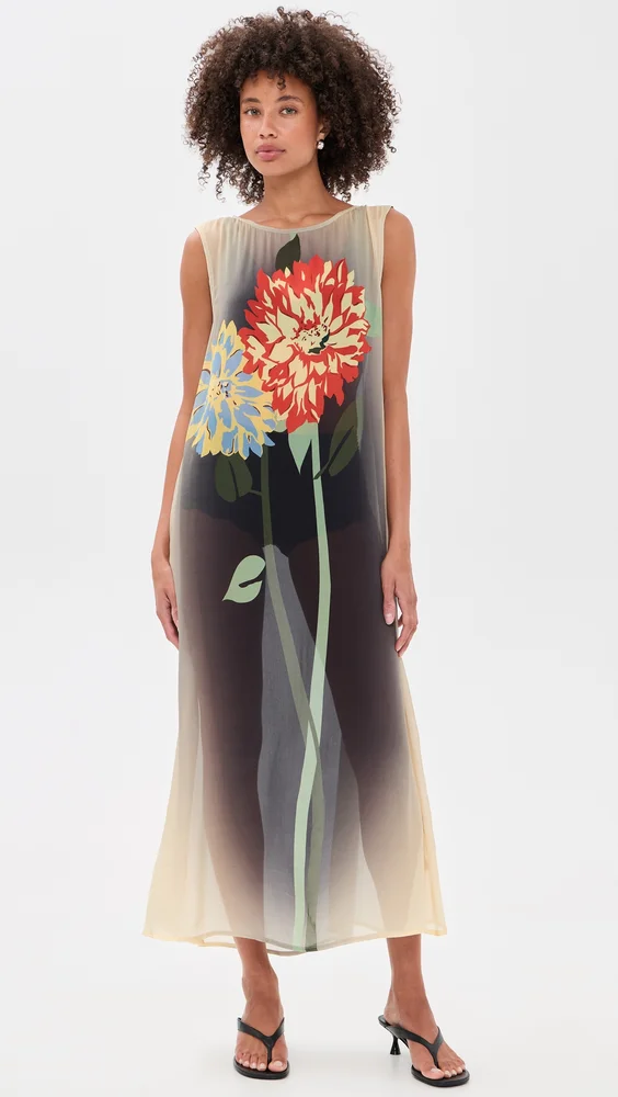 Jordyn Sheer Maxi Dress