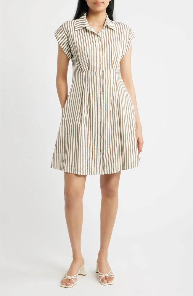Striped Button Front Shirtdress