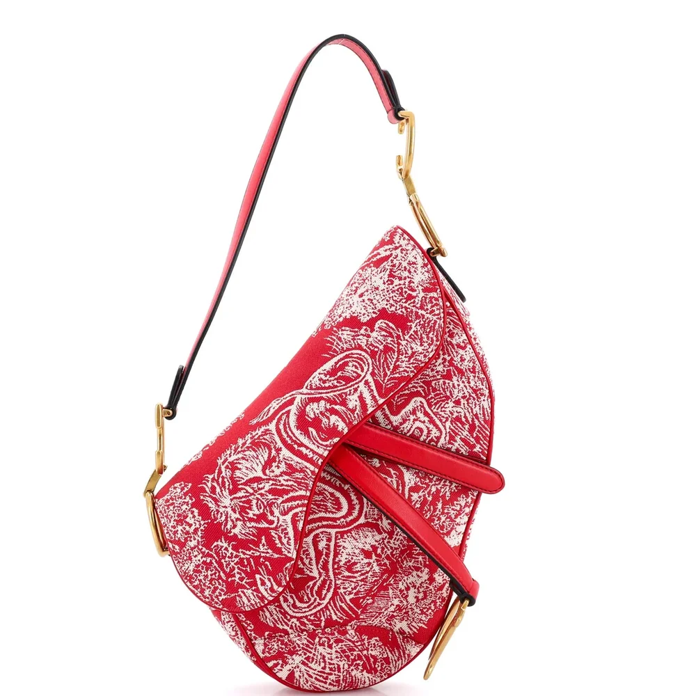 Dior Toile De Jouy Saddle Bag Embroidered Canvas Medium, Red