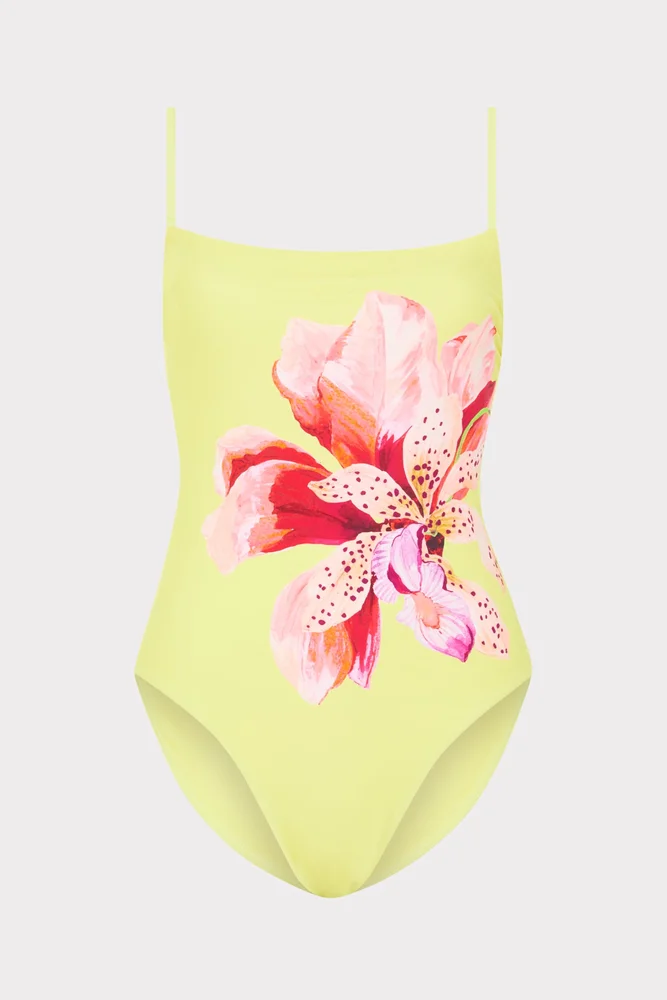 Songe D'Iris Strapless One Piece