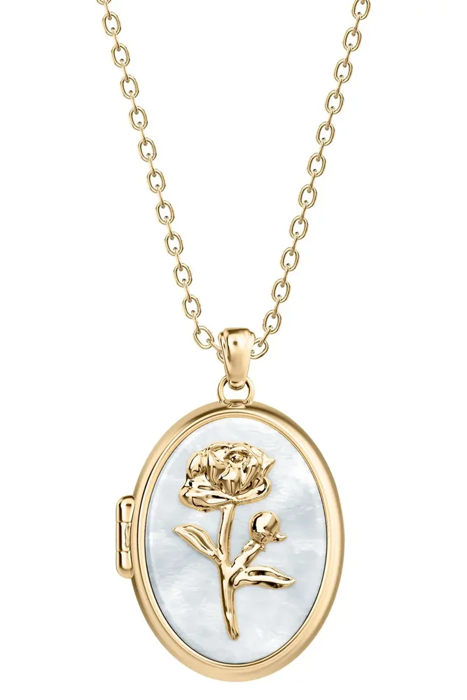 Sutton Mother of Pearl Locket Pendant Necklace