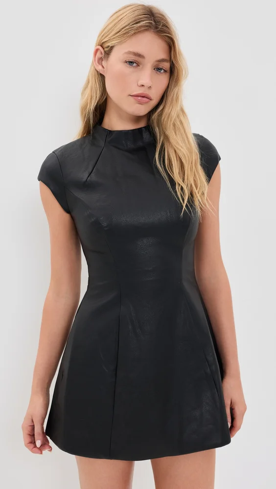 Delphi Faux Leather Mini Dress