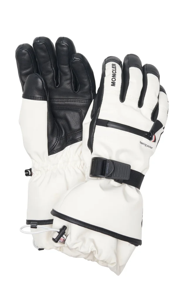 Ski Gloves