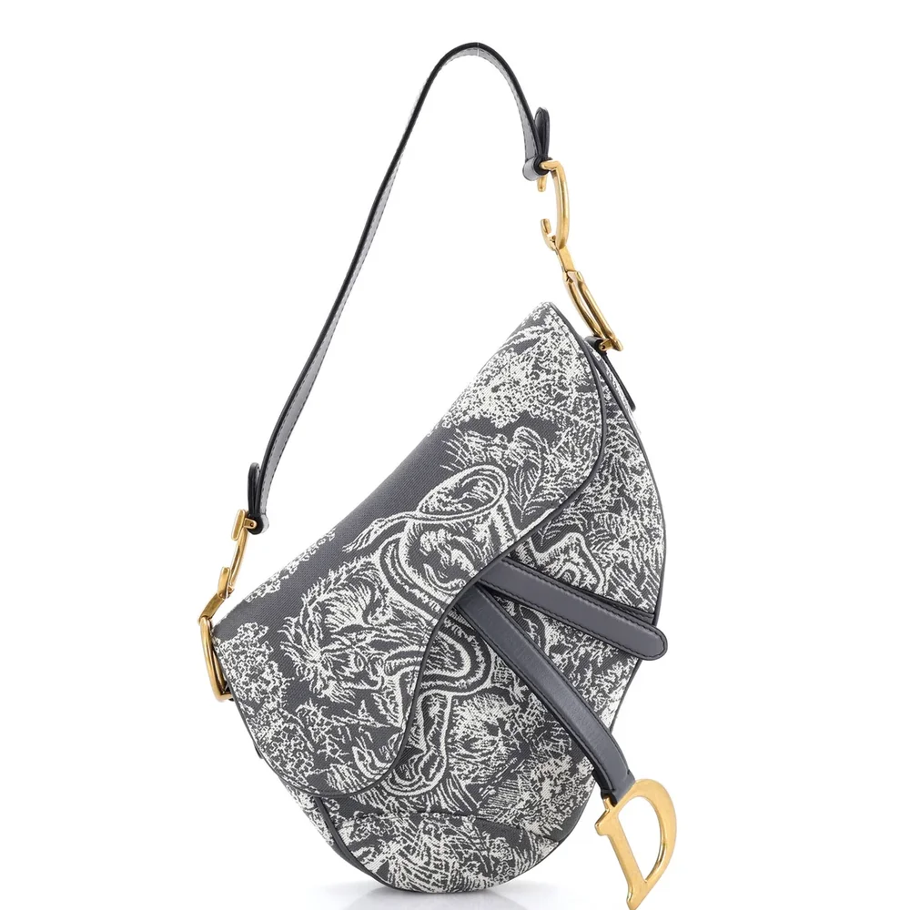 Dior Toile De Jouy Saddle Bag Embroidered Canvas Medium, Gray