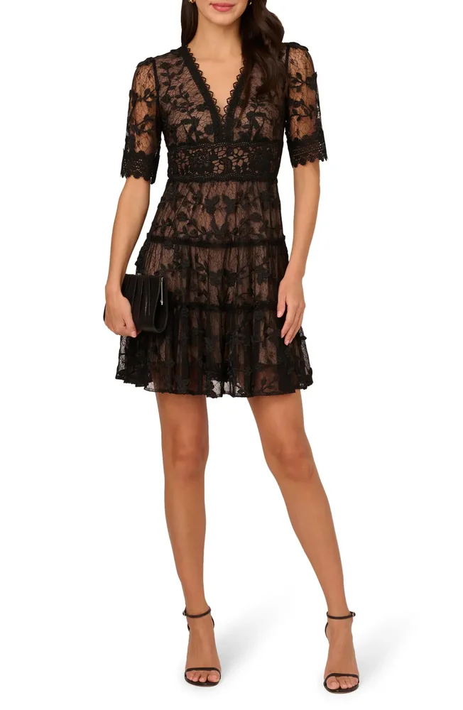 Embroidered Lace Minidress