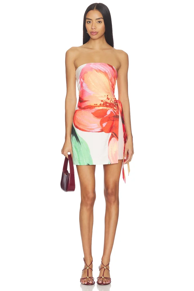 Zinnia Tie Side Mini Dress