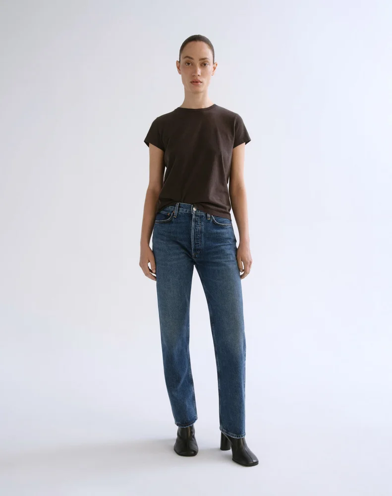Agolde 90's Pinch Waist High Rise Straight in Range