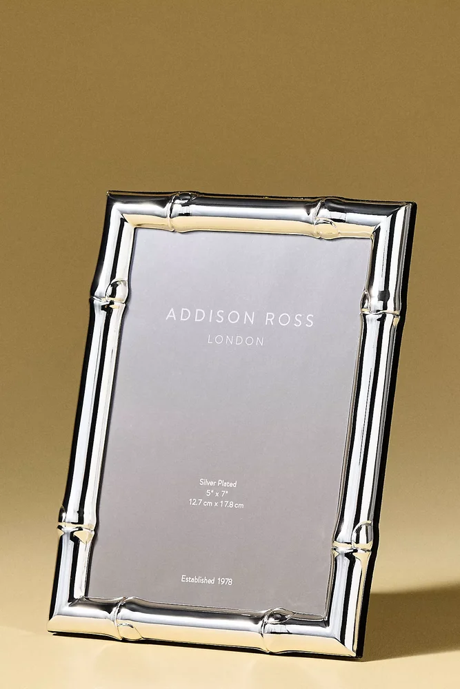 Silver Bamboo Frame