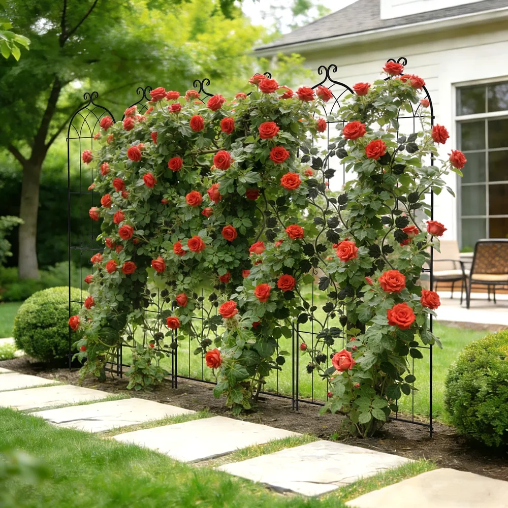 Arched Rose Trellis, Set of 4