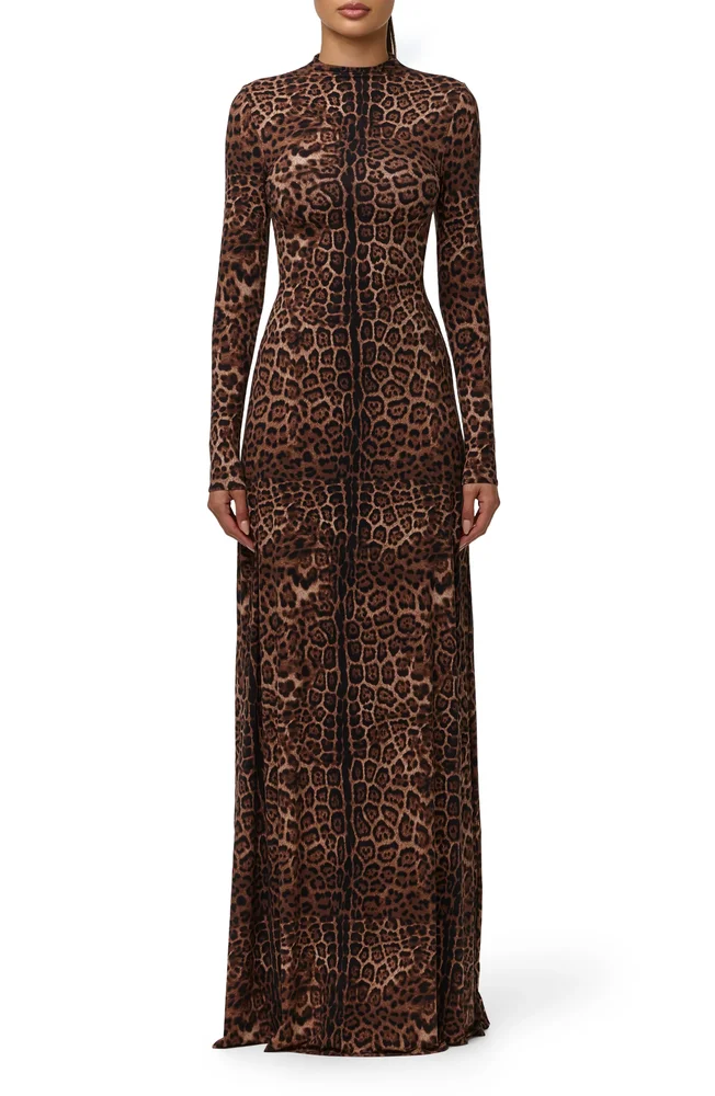 Leopard Print Long Sleeve Maxi Dress