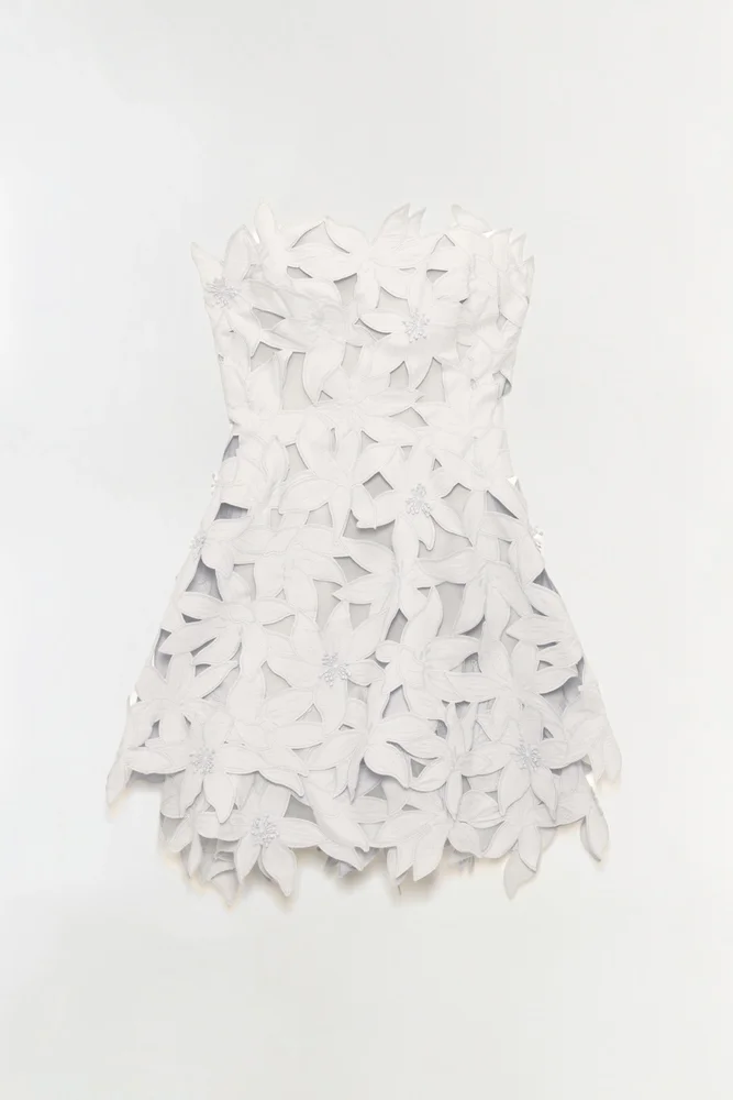 Miri Embroidered Cotton Bustier Mini Dress